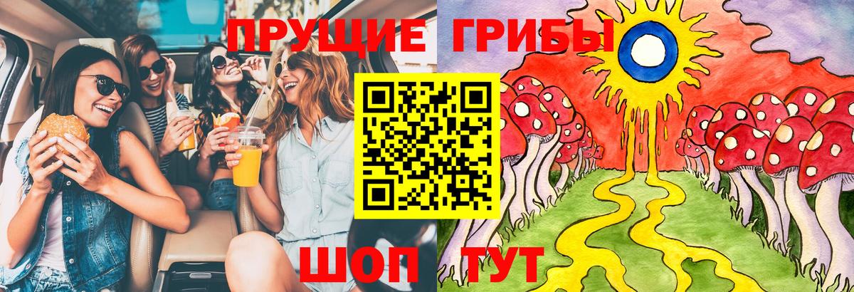 Санкт-Петербург  Псилоцибиновые грибы прущие грибы  Вход с VPN 