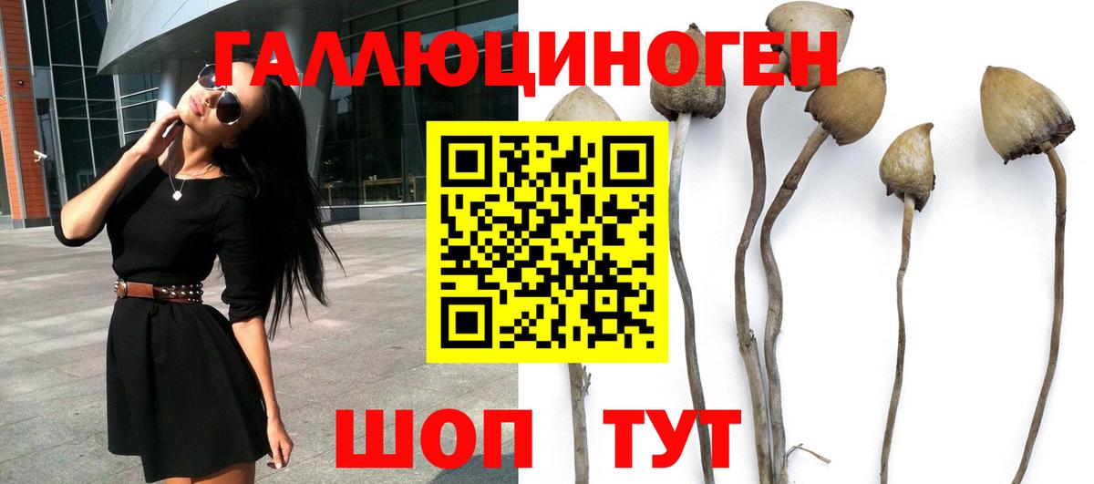 Псилоцибиновые грибы Magic Shrooms Санкт-Петербург